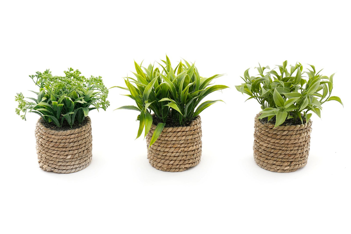 A Set Of Three Rope Effect Pots And Artificial Succulents-0