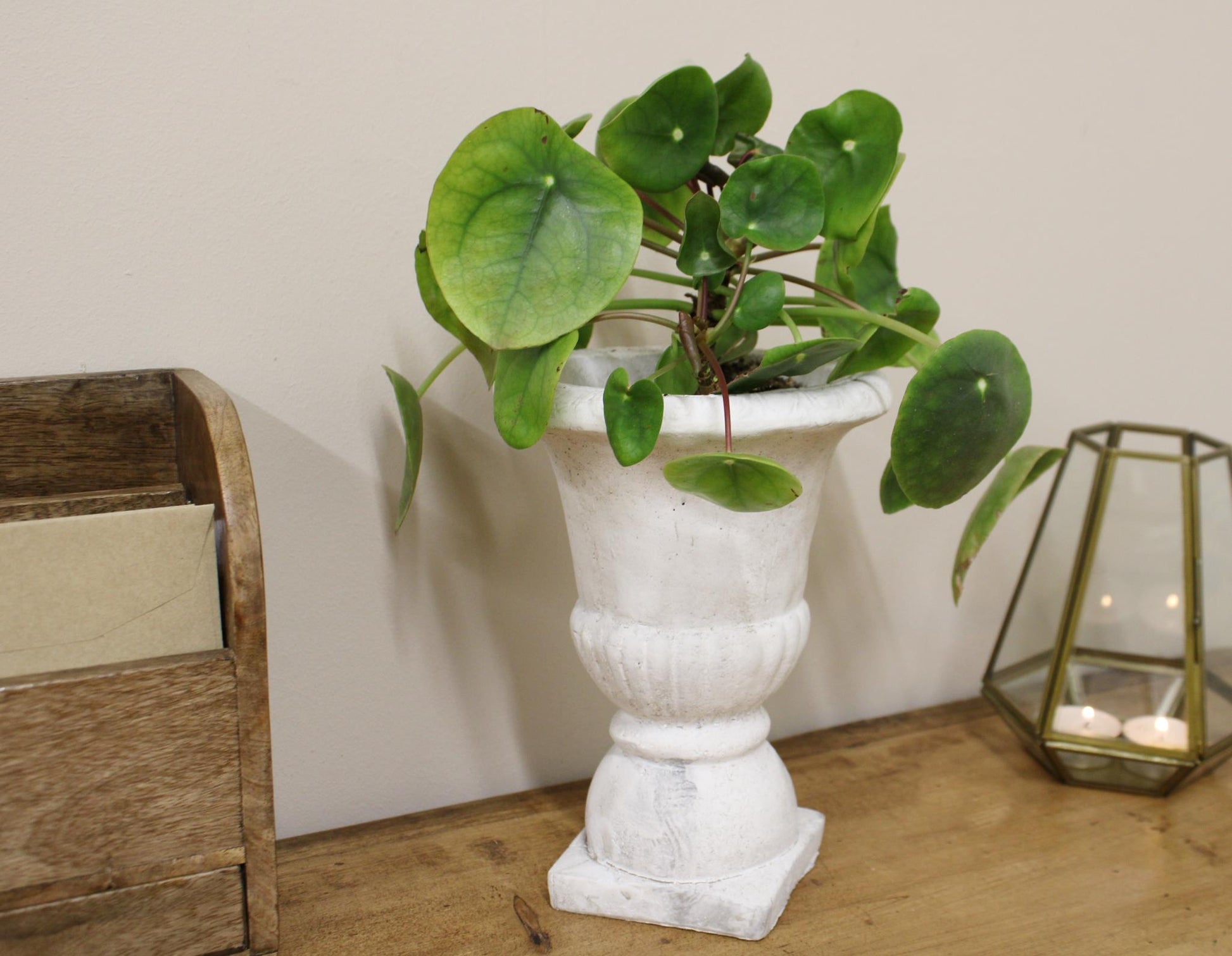 Classic Urn Planter-2